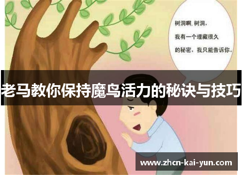 老马教你保持魔鸟活力的秘诀与技巧 老马教你保持魔鸟活力的秘诀与技巧
