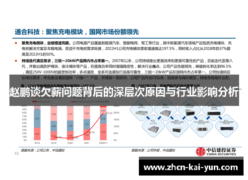 赵鹏谈欠薪问题背后的深层次原因与行业影响分析 赵鹏谈欠薪问题背后的深层次原因与行业影响分析
