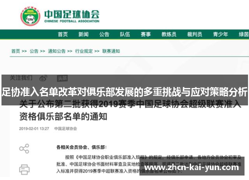 足协准入名单改革对俱乐部发展的多重挑战与应对策略分析 足协准入名单改革对俱乐部发展的多重挑战与应对策略分析